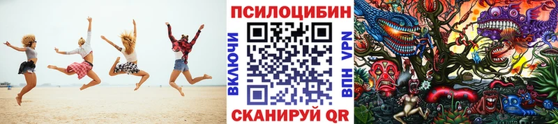 Галлюциногенные грибы MAGIC MUSHROOMS  Купить закладки  Шарья 